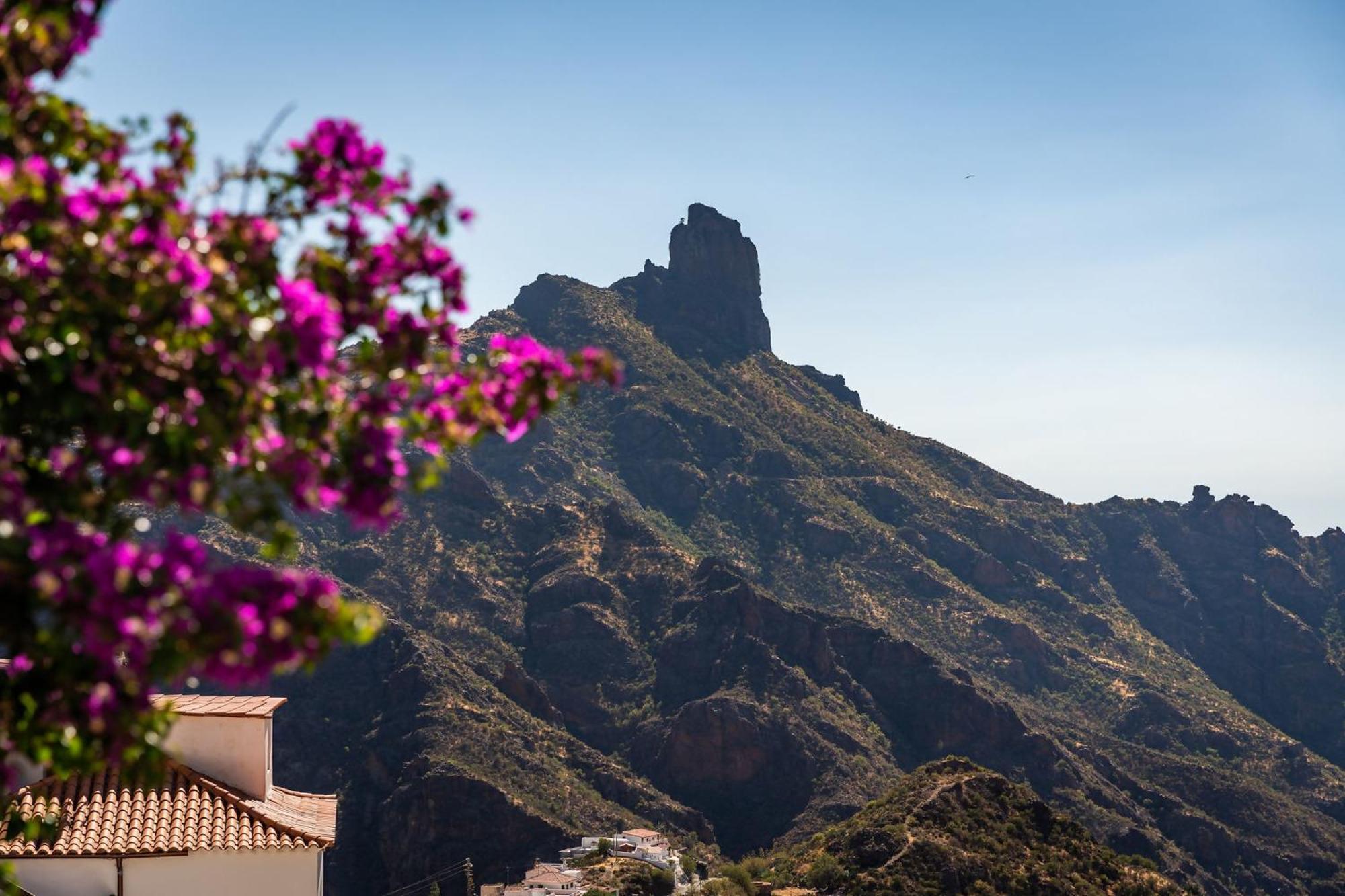 Macaronesia Lpa Suites Las Palmas de Gran Canaria Luaran gambar